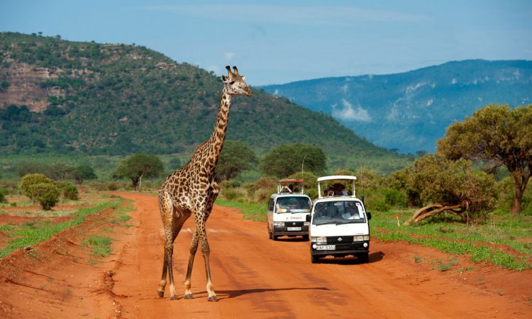 Tsavo+Beach