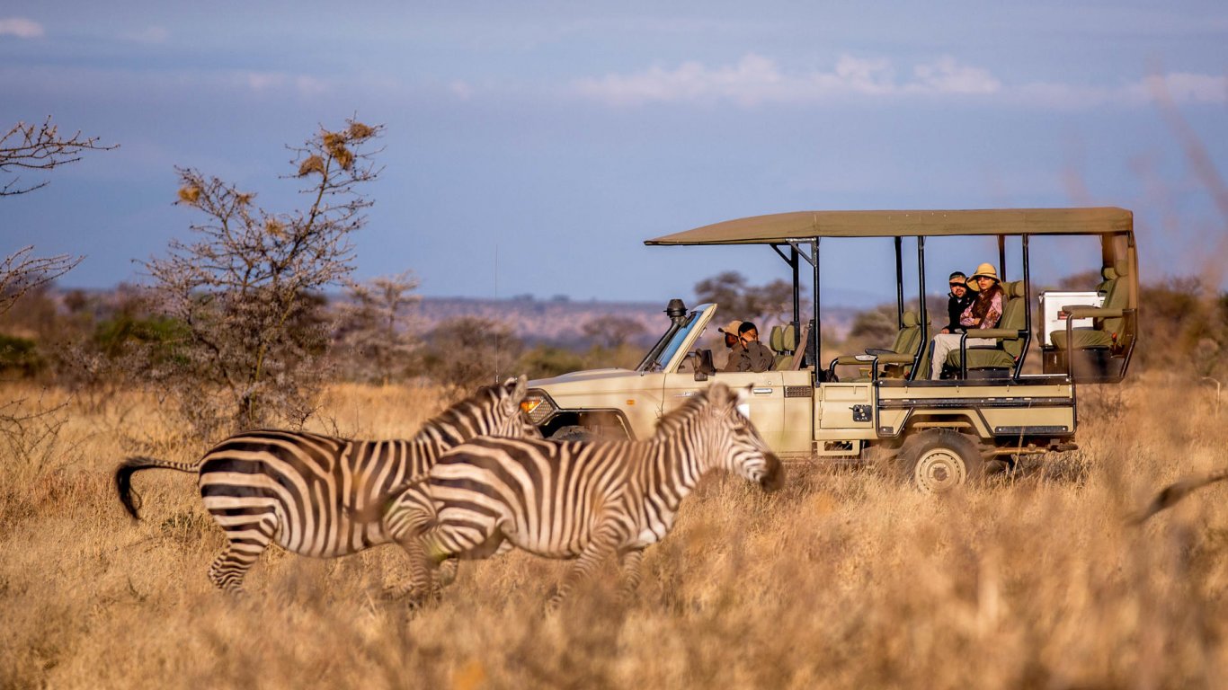 Selous, Mikumi & Ruaha Safari By Road