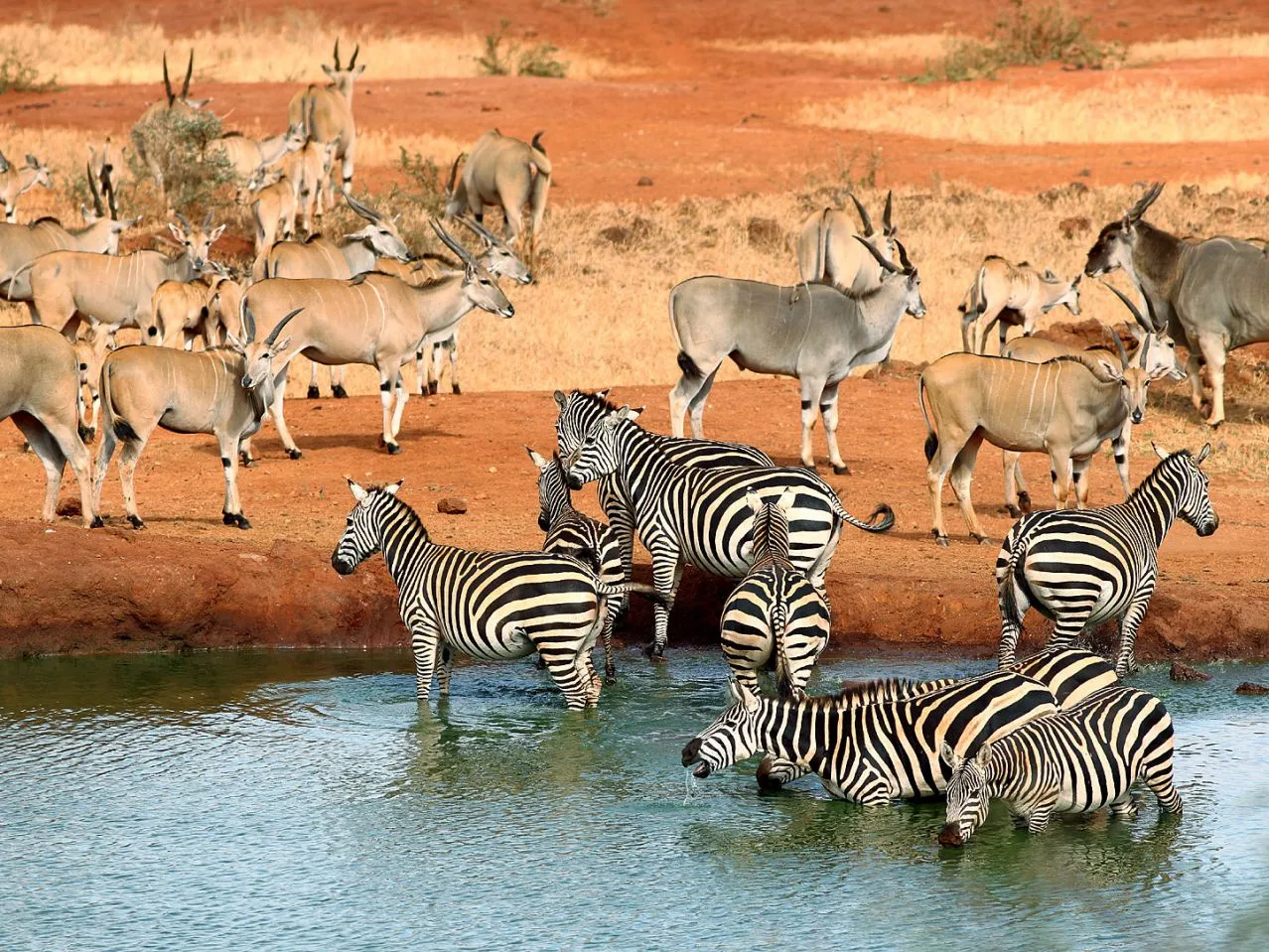 3 Days Tsavo National Parks Trip