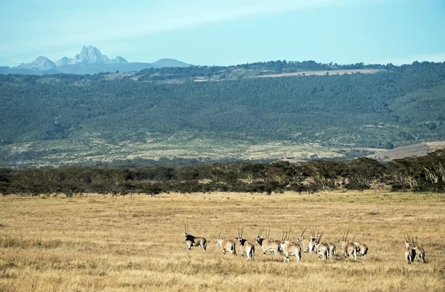 4 Days Mount Kenya National Park