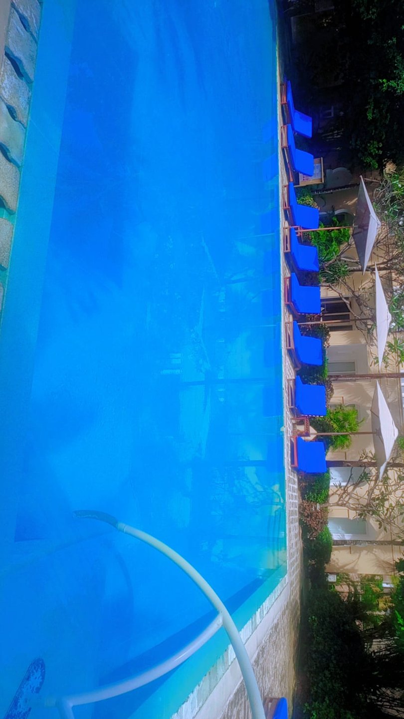 Pool and loungers