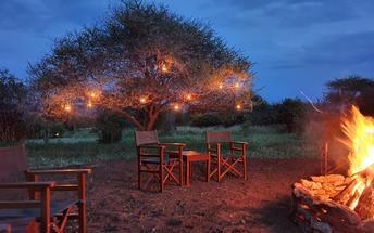 Evening campfire in the bush