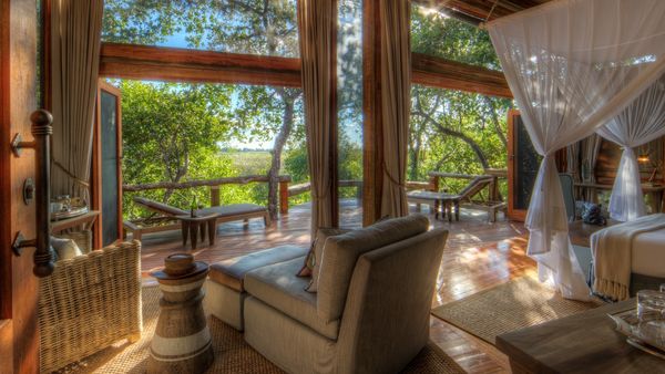 African Shades Safari