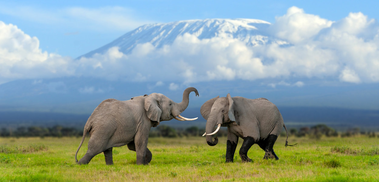 Amboseli Luxury