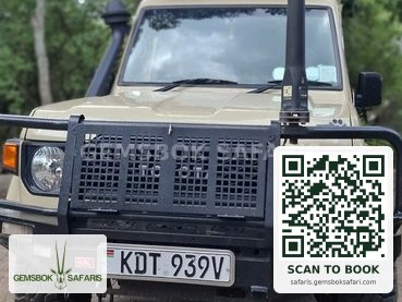 Gemsbok Safaris branded tourist vehicle