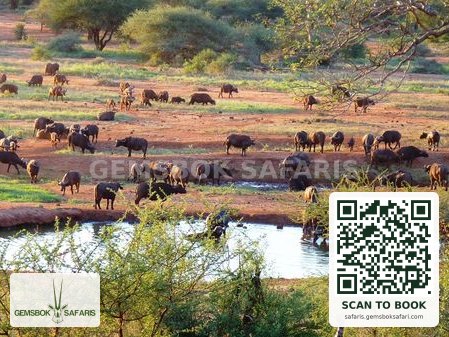 Kilaguni Serena Lodge, Tsavo West