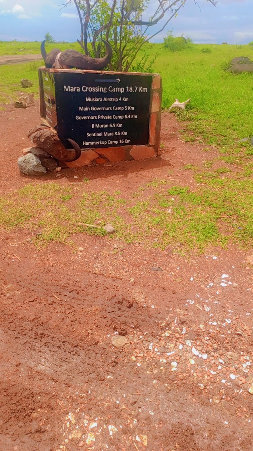 Signpost near Musiara airstrip, Maasai Mara