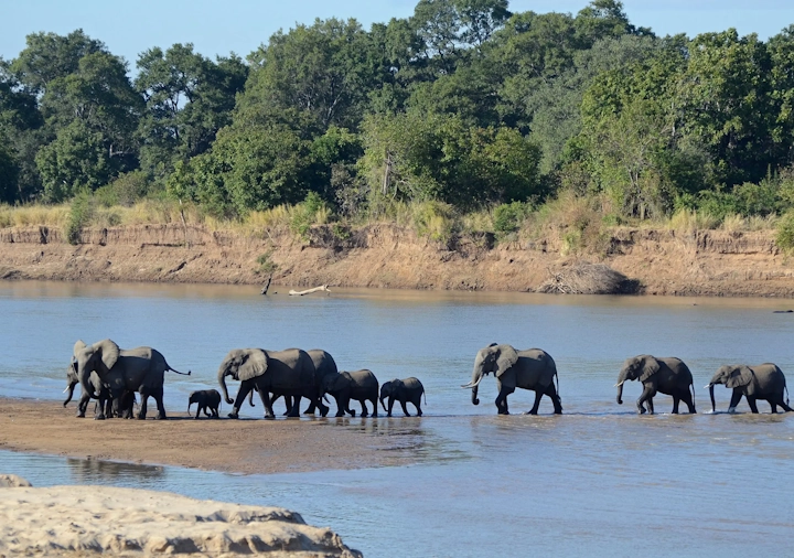 Zambia