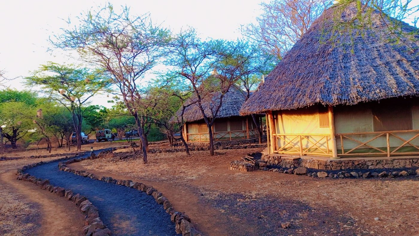 Path through the acacia bush to the tents