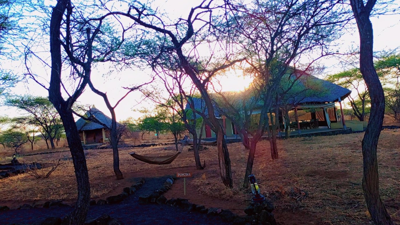 Late afternoon light over the camp