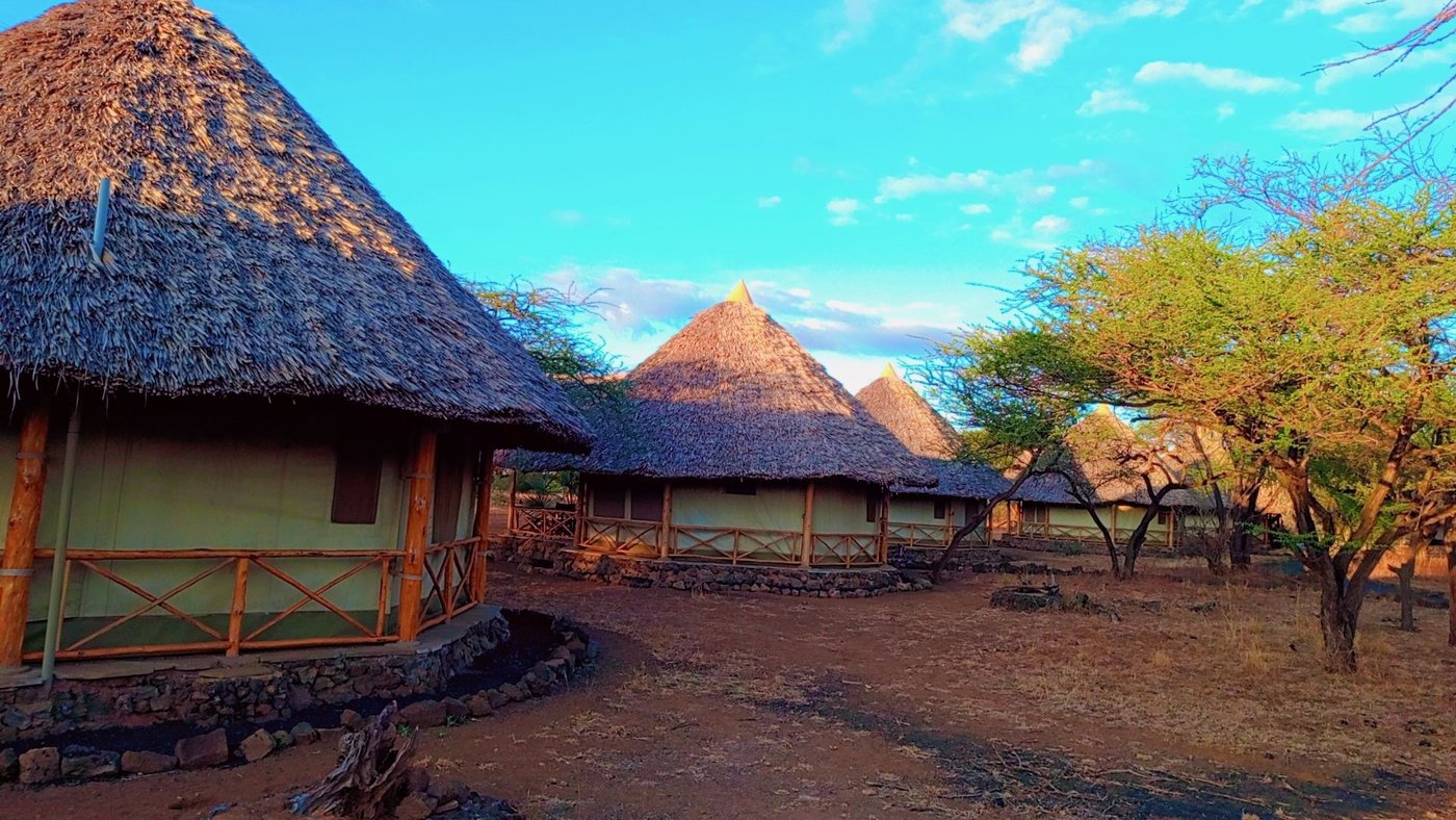 Row of thatched safari tents