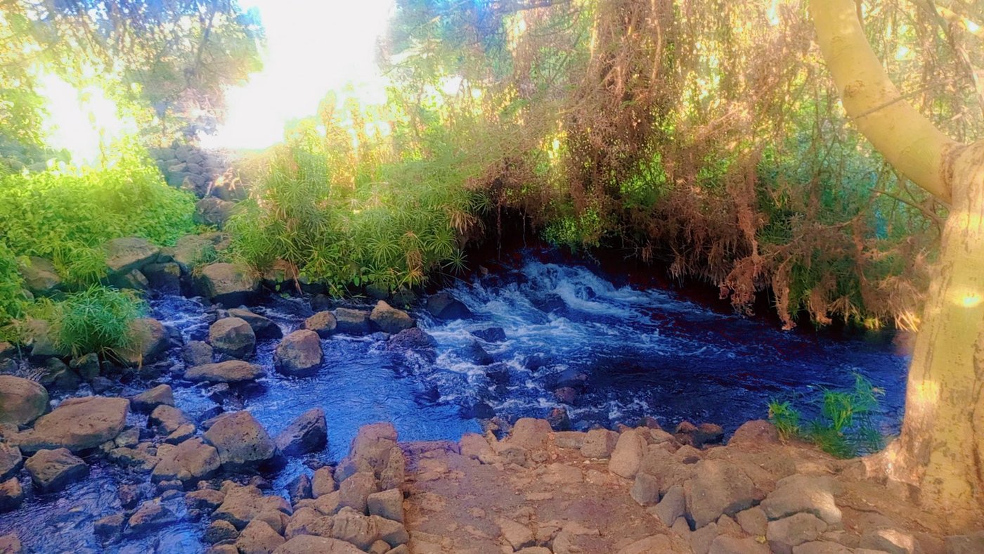 Clear spring-fed river in Tsavo West