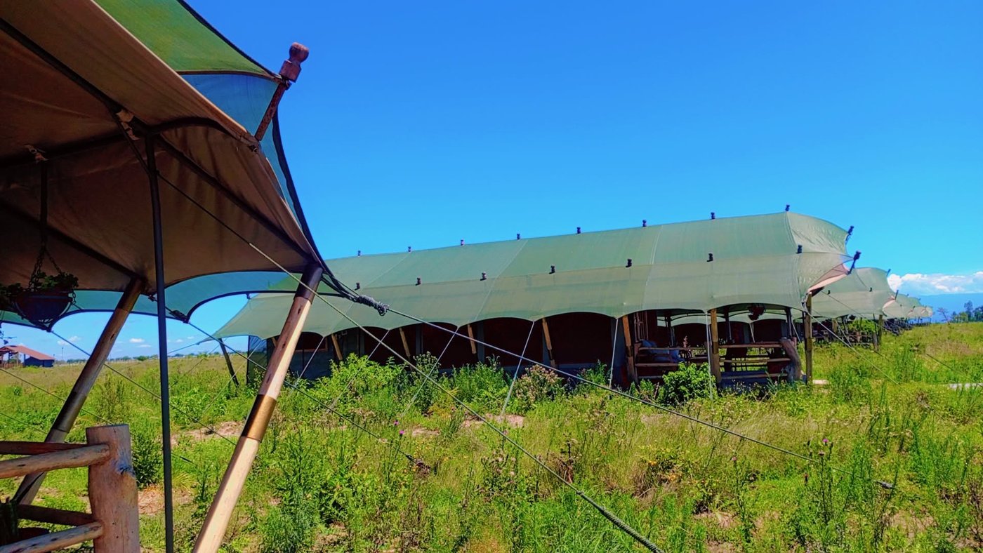 Safari tent with thatched shade